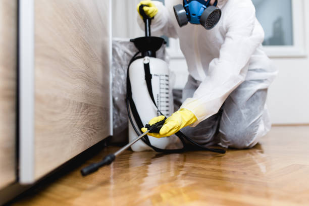 Best Local Pest Control Services  in East Vineland, NJ
