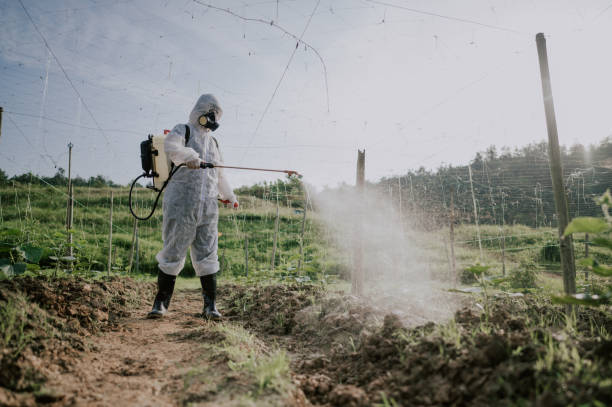 Best Ant Control Services  in East Vineland, NJ