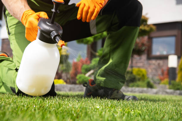 Trusted East Vineland, NJ Pest Control Experts