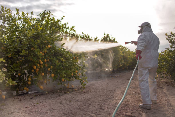 Best Best Pest Control Companies  in East Vineland, NJ